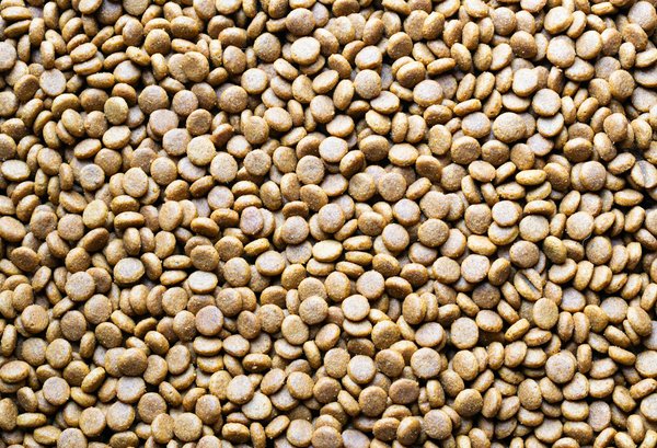 Transformation du sourire : facettes dentaires et techniques esthétiques modernes