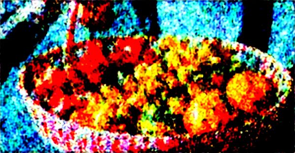 Panier de fruits au travail : un coup de fraîcheur quotidien !